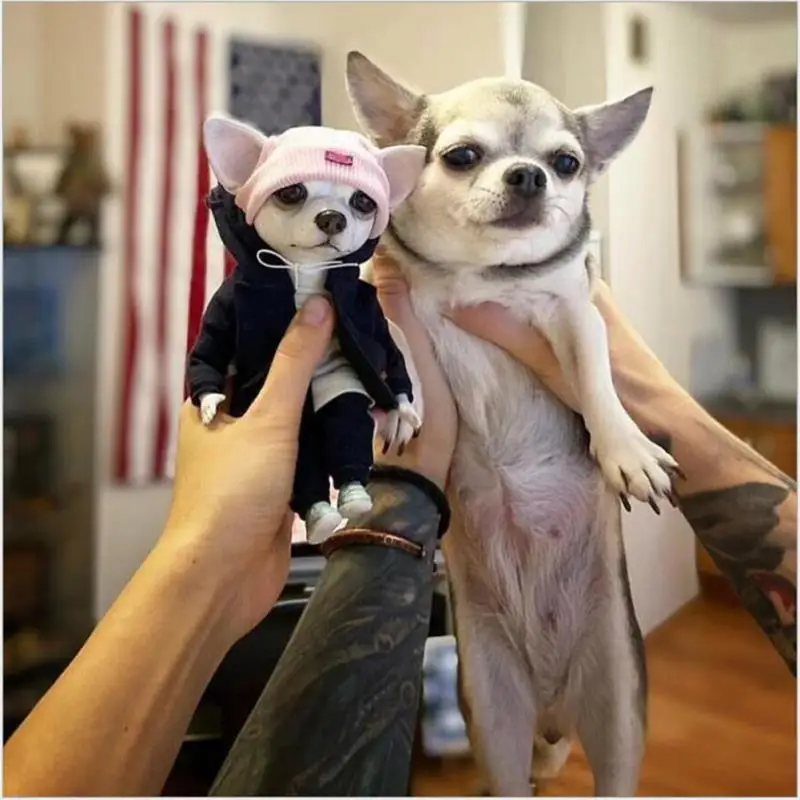 

Cute Fashionable Animal Handmade Dolls Chihuahua SharPei Dog Status Home Decor Figurine Accessories Christmas Decors