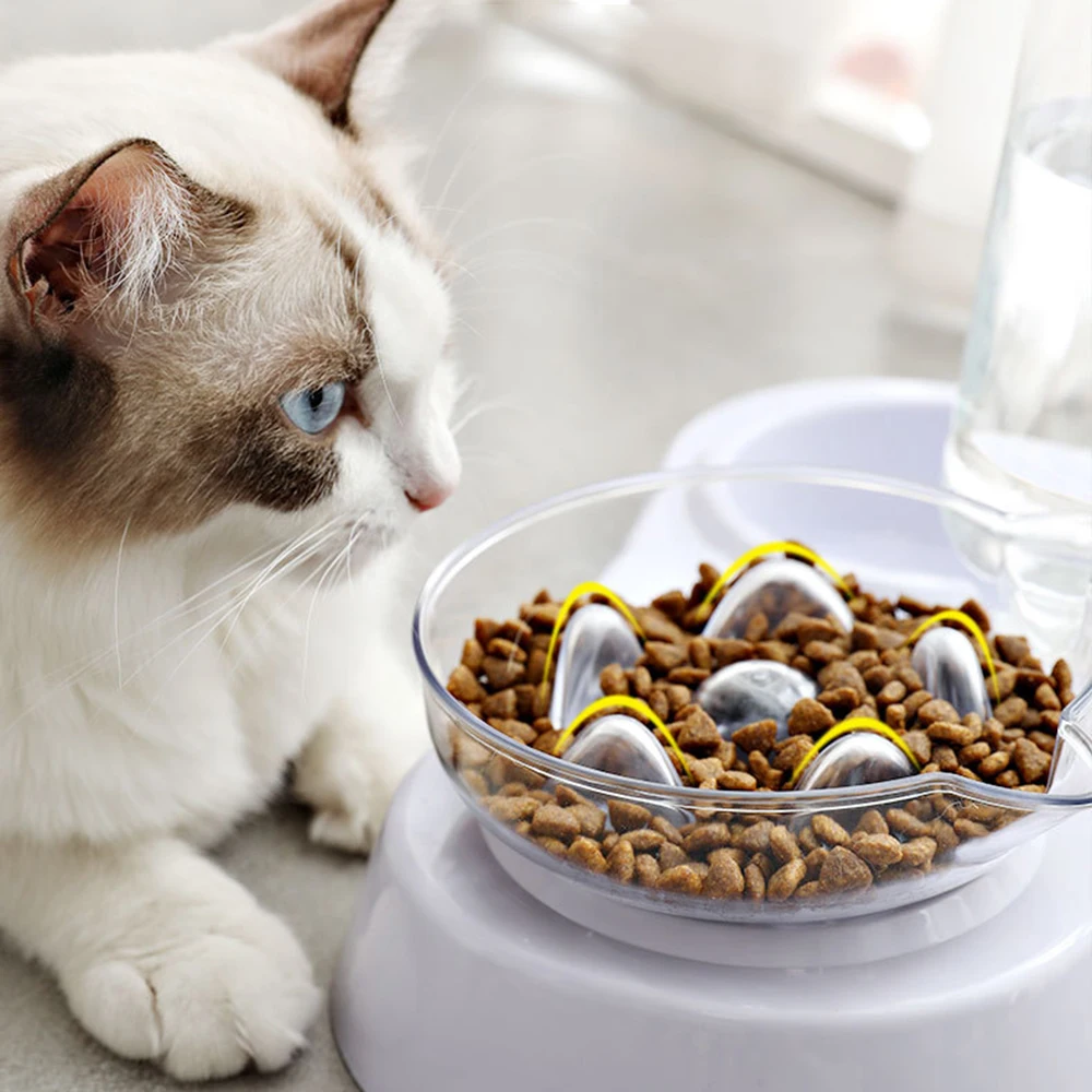 С двойным выходом для собаки кошка автоматическая кормушка кошек автоматический