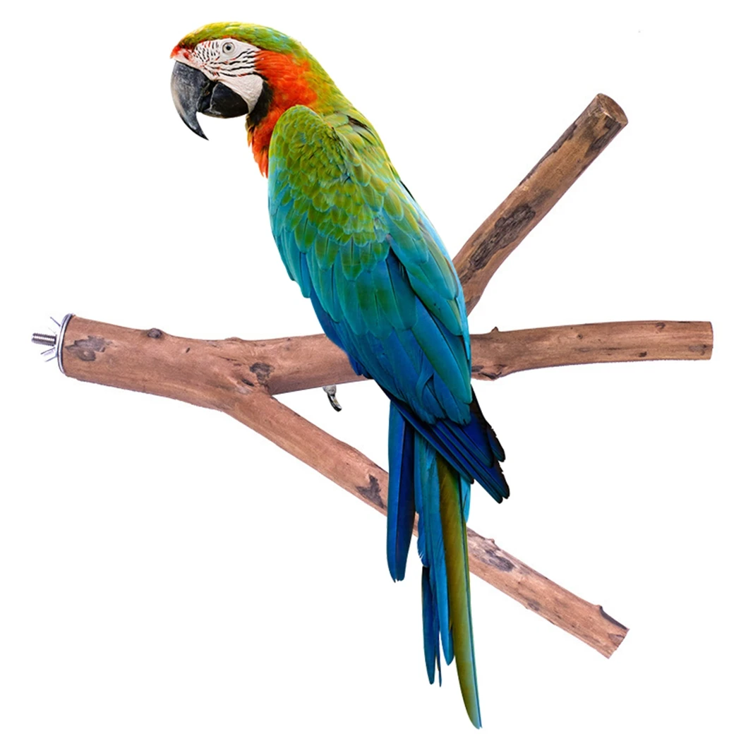 

Pet Parrot Bird Standing Stick Wood Pole Bird Cockatiel Parakeet Perches Bite Claw Grinding Toy Bird Cage Accessories