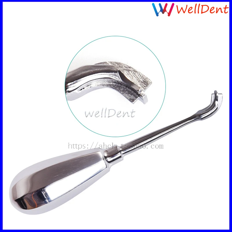 Стоматологический лифт корона фотоофсетный стоматологический инструмент