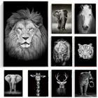 Абстрактные черно-белые животные, холст, картины, Лев, слон, Зебра, принты и плакаты, настенные картины для декора гостиной