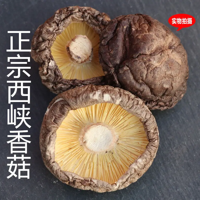 Сушеные грибы Shiitake Премиум органические выращенные натуральный пищевой гриб