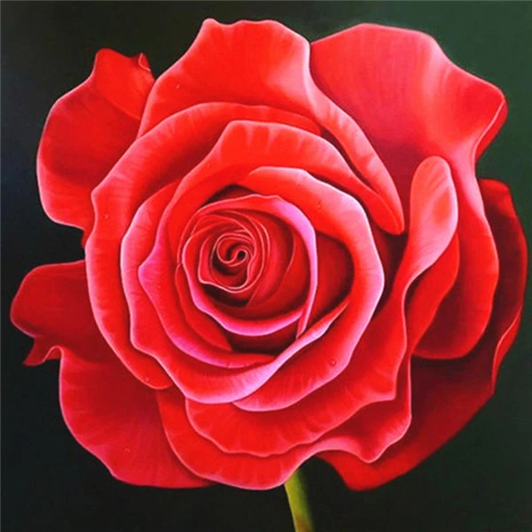 rose 4032 AZQSD Алмазная Вышивка Цветы ручная работа алмазная картина Роза картина Стразы Алмазная мозаика домашний декор ремесла подарок - Цвет: rose 4032