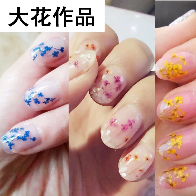 

3pcs/set 12 Patterns 3D Dry Flowers Stickers Real Dried Flower Nail Art Decoration Tips DIY Manicure Tools with Box