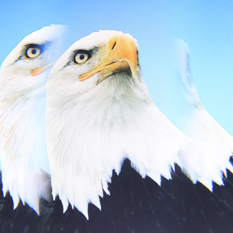 Фильтр для камеры с 3 линейными спецэффектами 77 мм фотосъемки на переднем плане