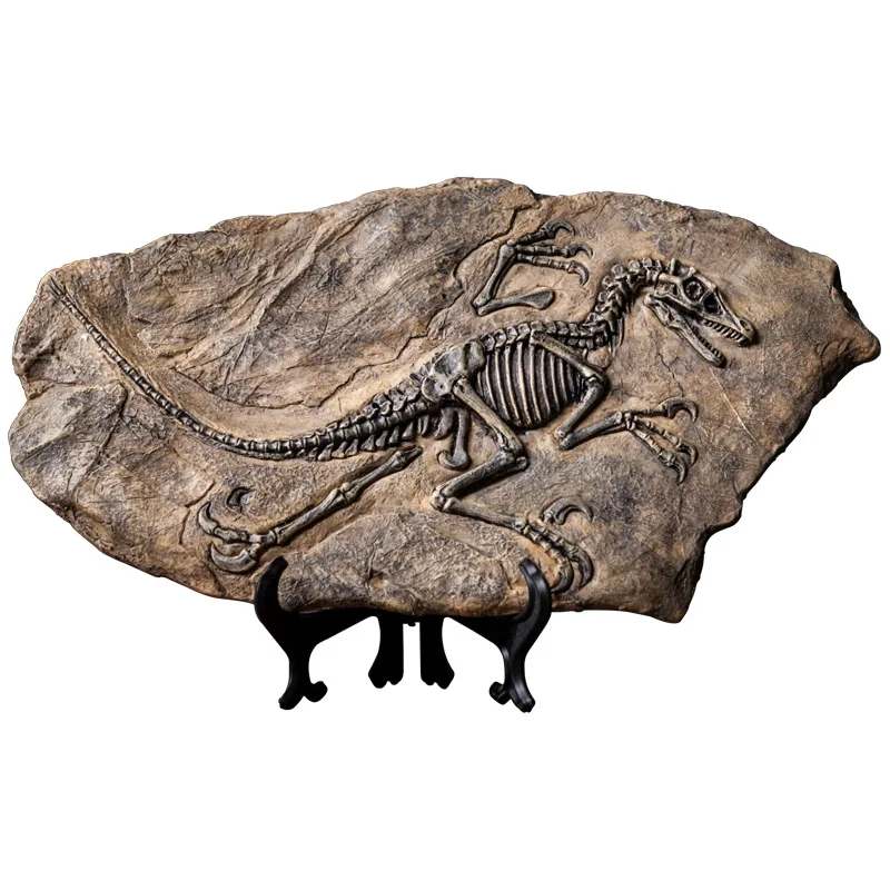 

Dinosaur Fossil Statue Resin Retro Home Decoration Creative Tyrannosaur Skull T-Rex Skull Gifts Living Room Decor Accessories