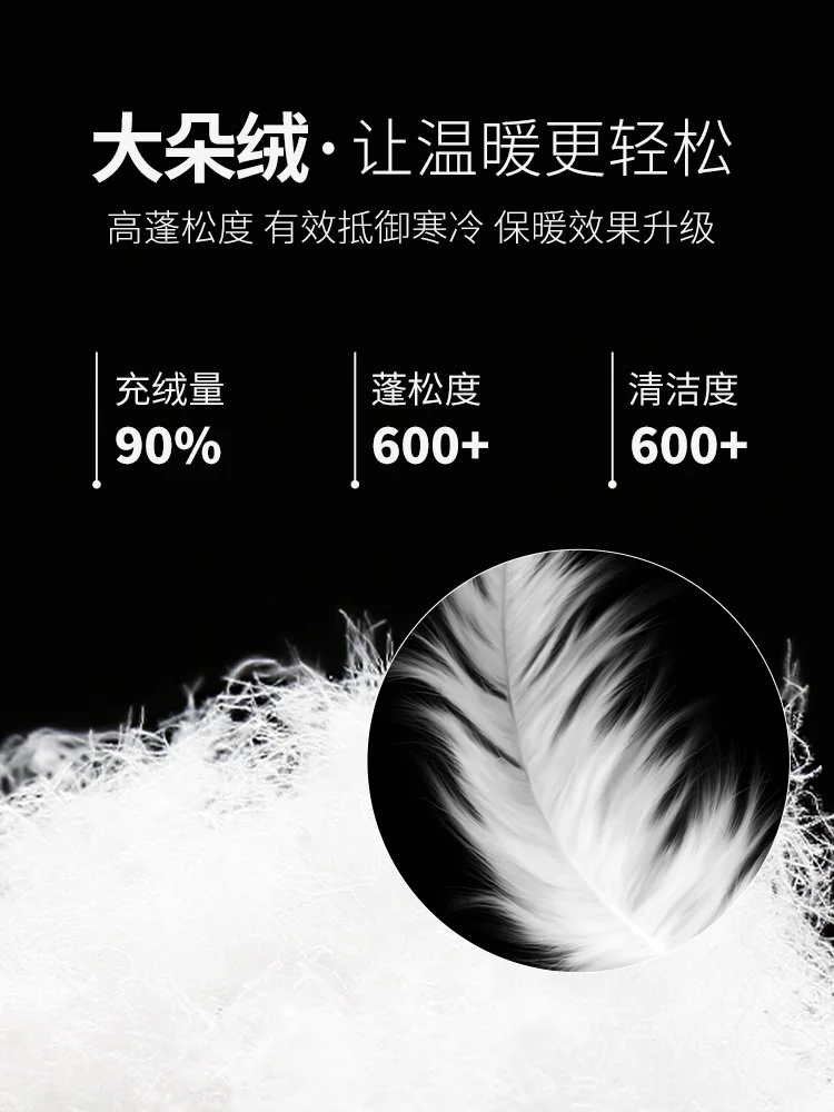 Stand-up Collar down Jacket Men's Autumn and Winter Trends Top Men's New 90 Velvet White Duck Down Lightweight Coat Men's