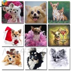 Алмазная 5D картина сделай сам, мозаика из круглых страз с собакой чихуахуа, вышивка крестиком для домашних животных