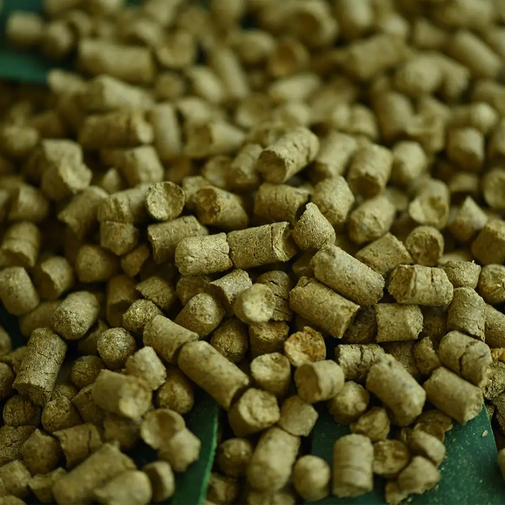 50 г Citra хмель ароматный цветочный дрожжи дома сваренное вино пива МПа император