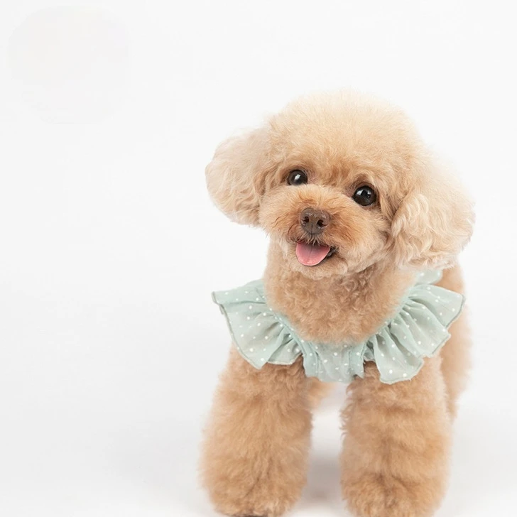 Новинка одежда для домашних животных маленькое шифоновое платье в пупок