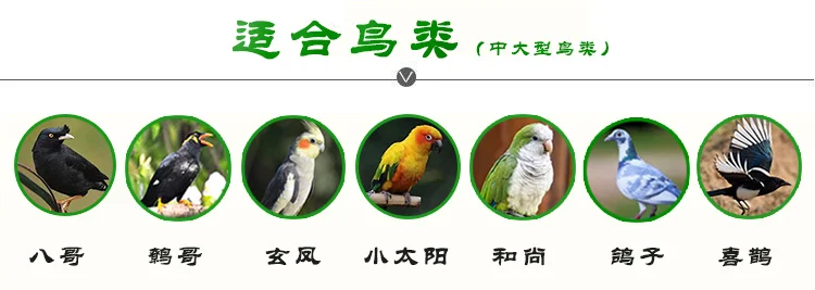 Большая усиленная клетка для большой клетки для птиц parakeet xuanfeng octopus клетка оцинкованная металлическая клетка для птиц