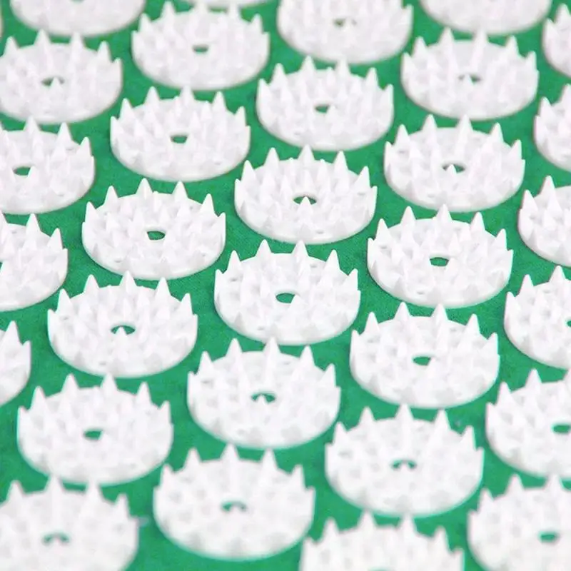 

Fitness & Body Building