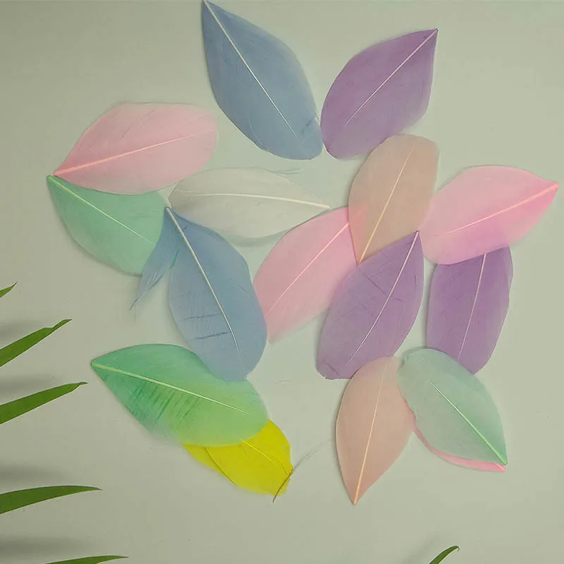 Гусиные перышки 4-8 см 50 шт./лот | Дом и сад