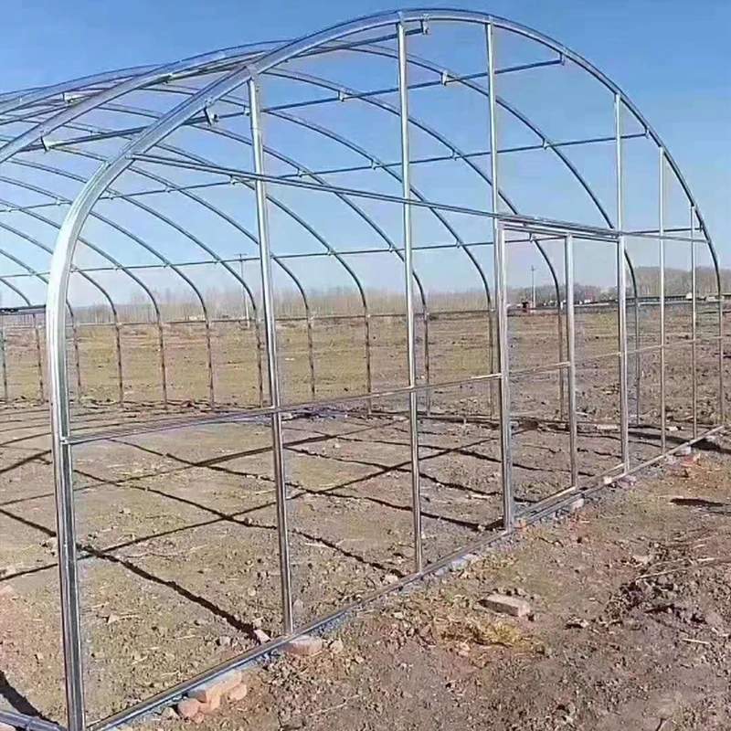 Рисунок 5 - Большая теплица для выращивания растений