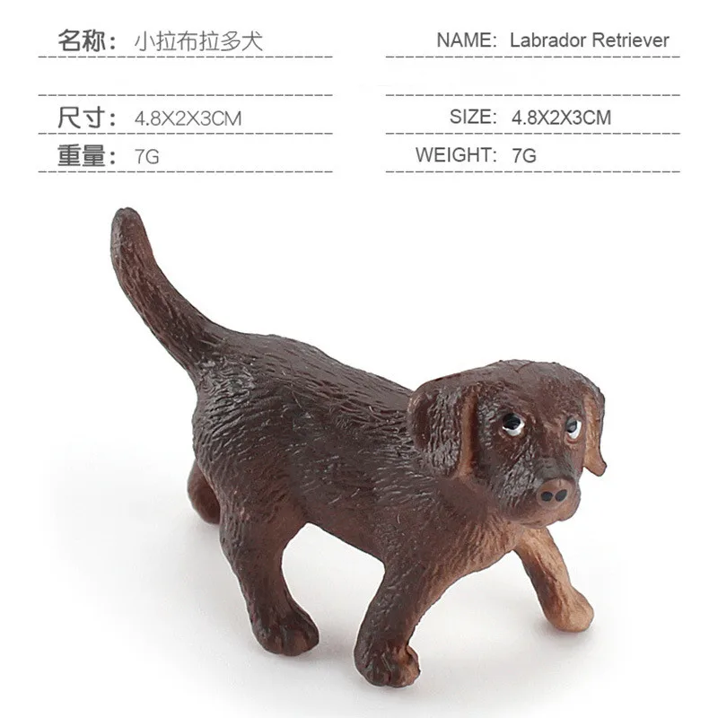 

New product hot sale simulation small solid puppies model set static labrador dog home decoration decoration birthday gift
