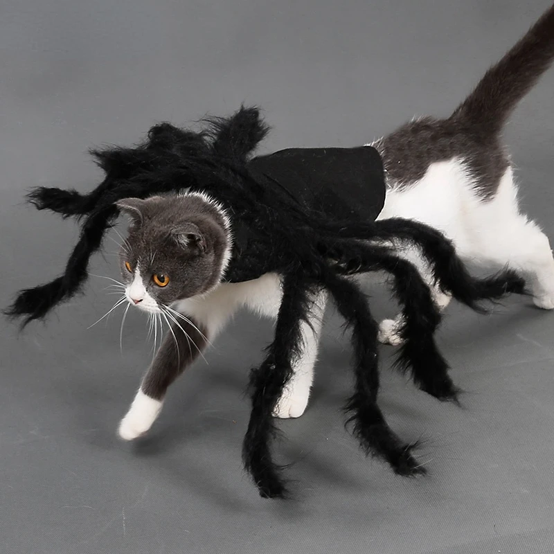 

Pet Cosplay Spider Clothes Cats and Dogs Universal Plush Spider Transfiguration Party Dress Up