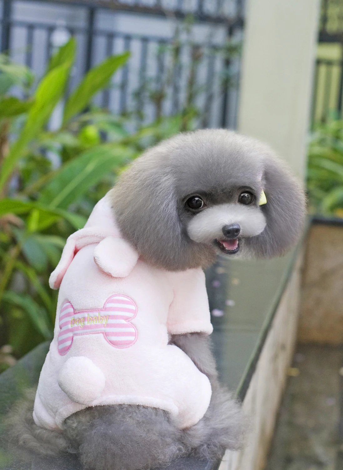 Скидка Теплая зимняя одежда с рисунком костей для собак и щенков, толстовки, пальто для собак, свитер, комбинезон, пижама, верхняя одежда, товары для...