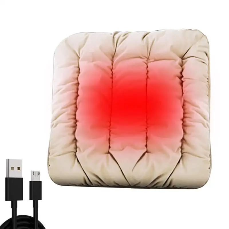 

Электрическое Кресло-подушка с подогревом и USB-портом, зимний коврик с подогревом для домашних животных-грелка, электрическое одеяло с регу...