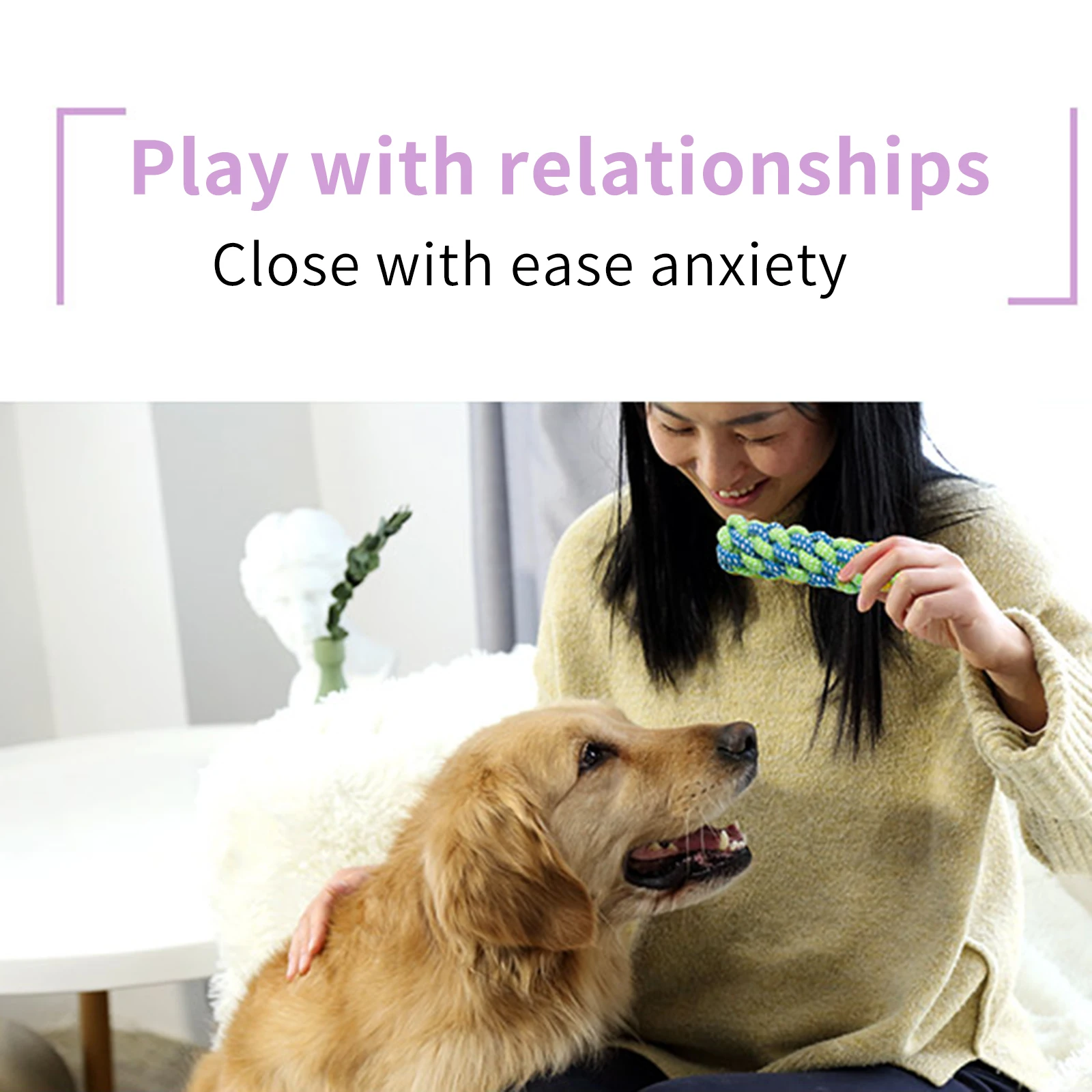 

13pcs/Set Pet Teething Toy Knot Rope Toys Rope Teething Toys Safe Material For Cleaning Soothing Itchy Teeth