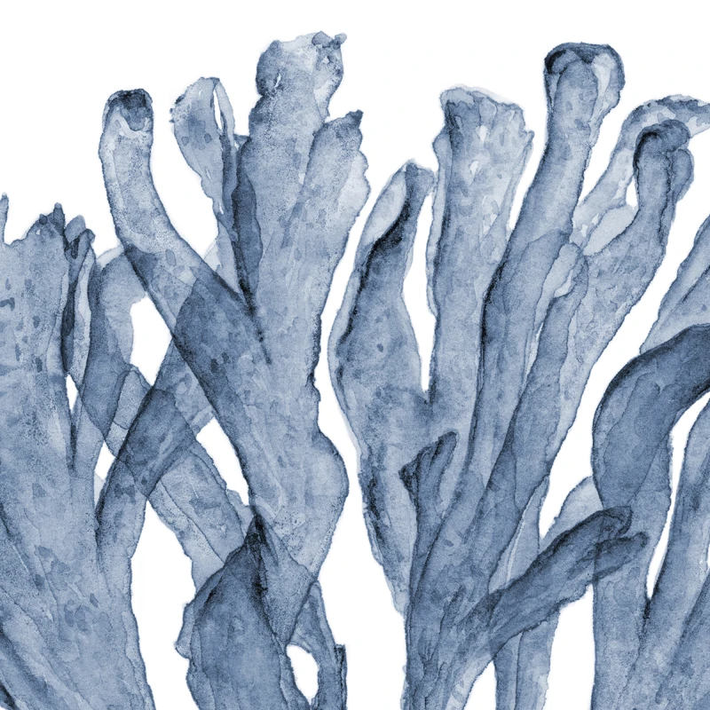 Постеры и принты веера синего кораллового моря Современные художественные