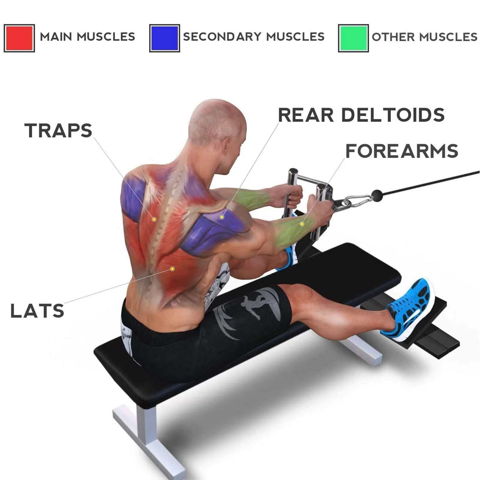 

High Pull-down Handle Sitting Position Rowing Handle V-shaped Strength Equipment Accessories Handle Gym Equipment Accessories
