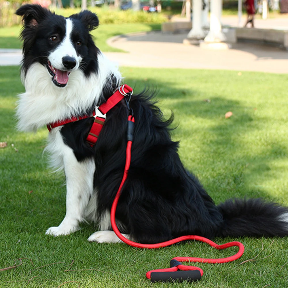 

1pcs New Nylon Pet Leash Running Traction Rope Dog Foam Handle Round Rope Chest Strap Dog Chain Dog Supplies