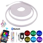 Bluetooth приложение управления RGB светодиодный светильник полоса DC 12V Гибкая неоновая вывеска музыка светодиодная неоновая веревка лампа Водонепроницаемая светодиодная лента декоративная
