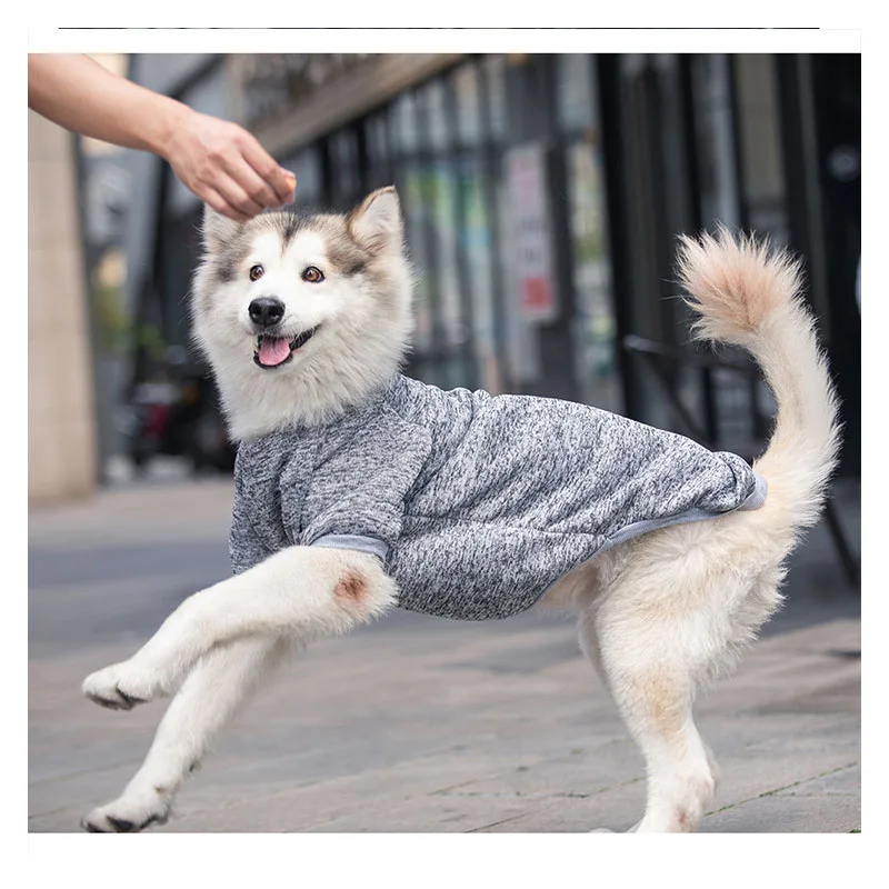 

Large and medium-sized dogs keep warm in autumn and winter border Samova pet clothes golden retriever keep warm and comfortable