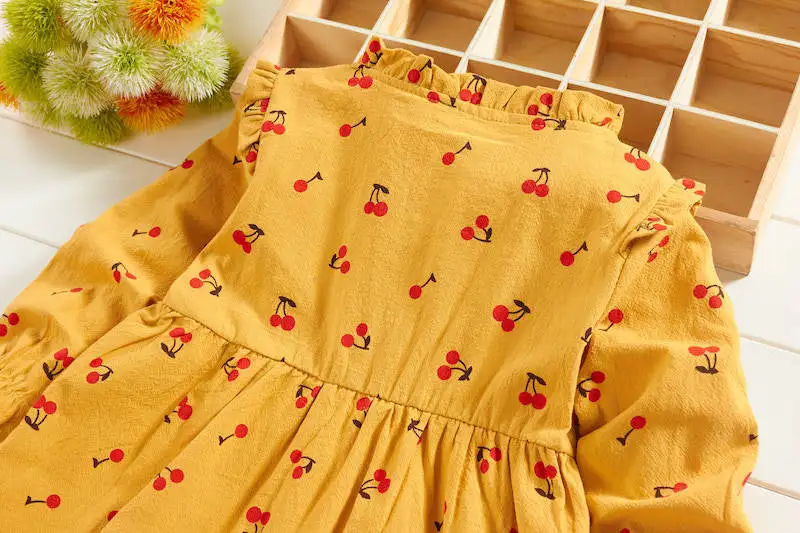 

Fancy Childhood New Arrivals 1 2 3 4 Years Old Baby Girl Fall Clothes with Buttons Cotton Toddler Long Sleeve Dress for Girls