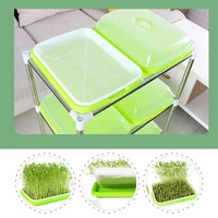 sprout vegetable planting tray moisturizing nursery pot cultivate bean sprout vegetables wheat seedlings increase survival rate