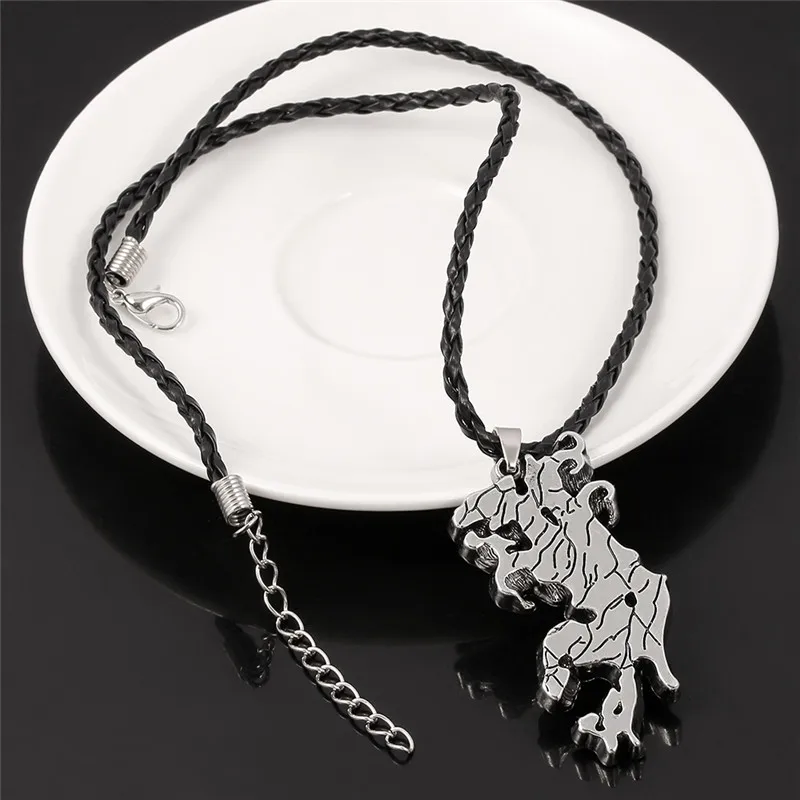 Ожерелье из сплава в виде карты США популярное ювелирное изделие стиле New York State