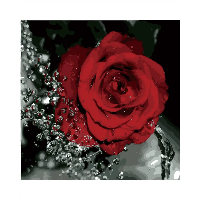 И принтом в виде Розы DIY Цифровая живопись по номерам Современная Картина на