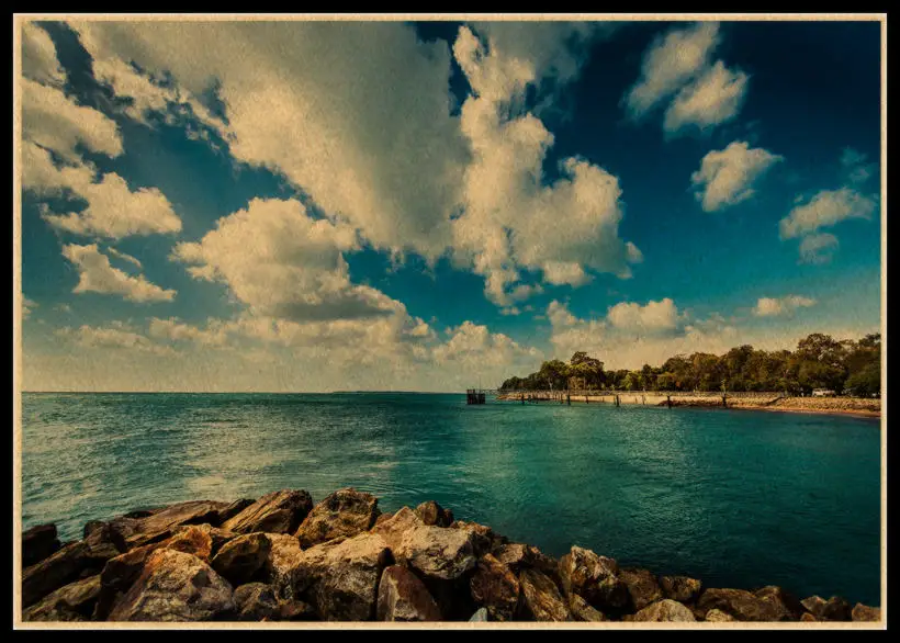 Лесной пасторальный пейзаж плакат национальный парк лес эстетический настенная