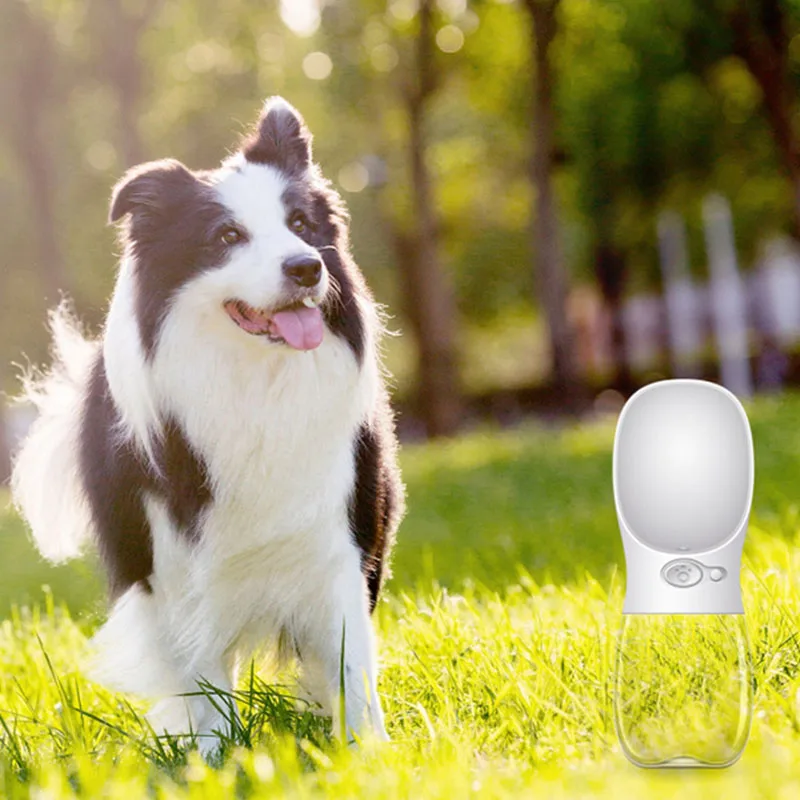 Чайник для домашних животных миска воды улицы портативная собак автоматическая