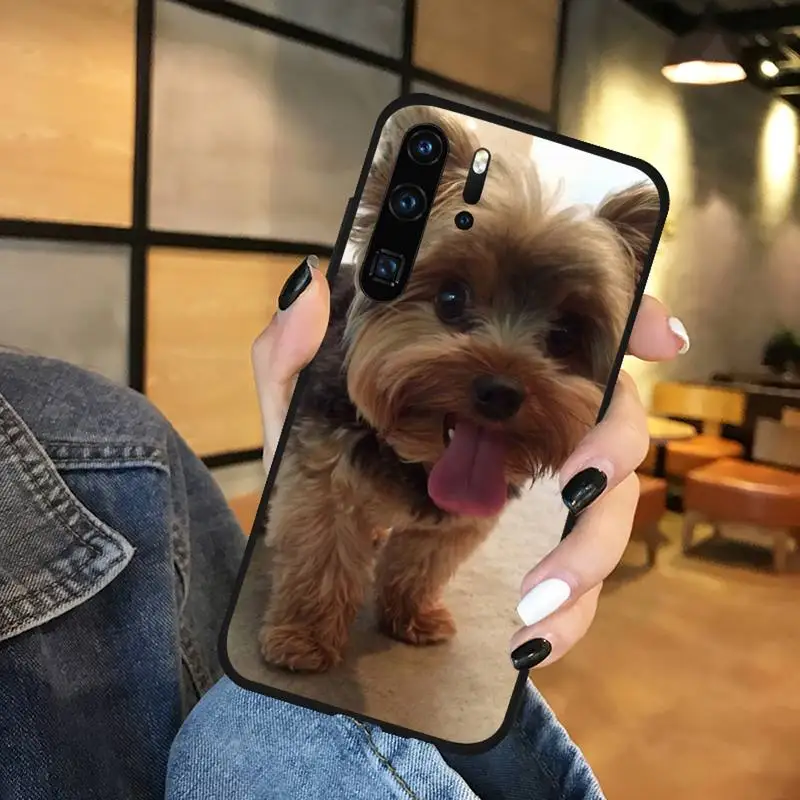 

Yorkshire Terrier dog Phone Case black For Huawei honor Mate mate P 10 9X 10i 20 30 40 y7 lite pro p smart 2019