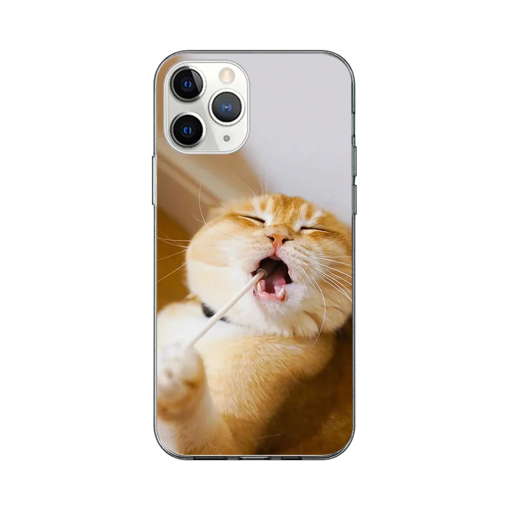

Cat Butterfly Case For iPhone 12 11 Pro Max Cover for iPhone 12 X XR XS MAX 7 8 6 S Plus 5S SE 2020 Soft Silicon TPU Phone Funda