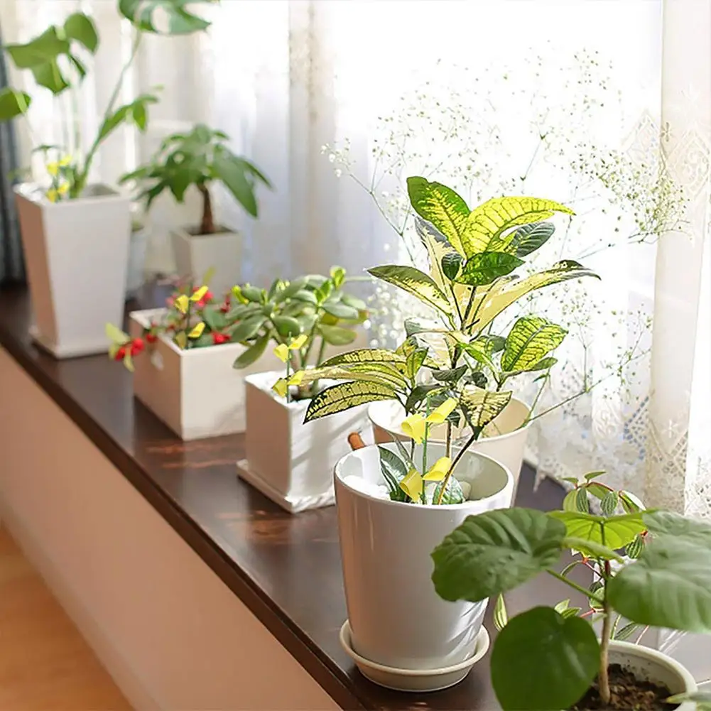 Ловушка для фруктов и мух липкая приманка комнатных растений водонепроницаемый