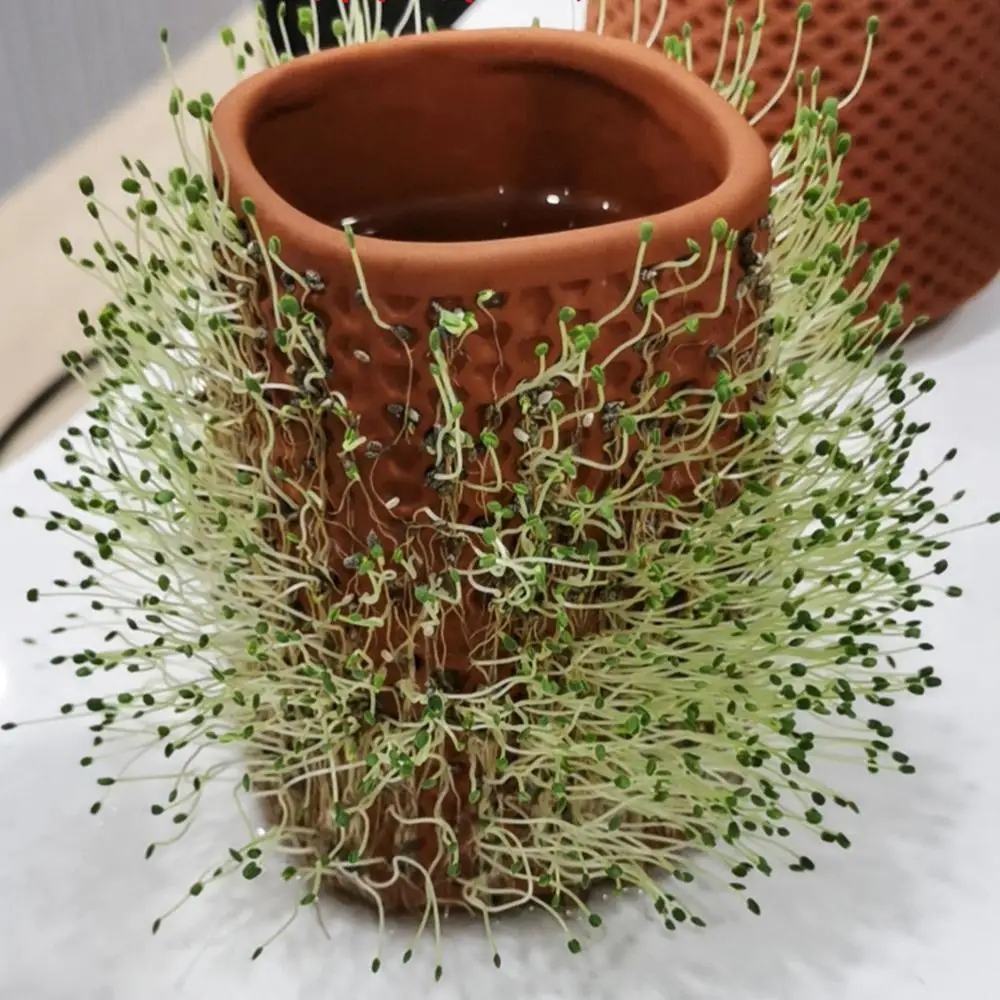 Автоматический цветочный горшок в форме сот керамический с Сотами|Детские