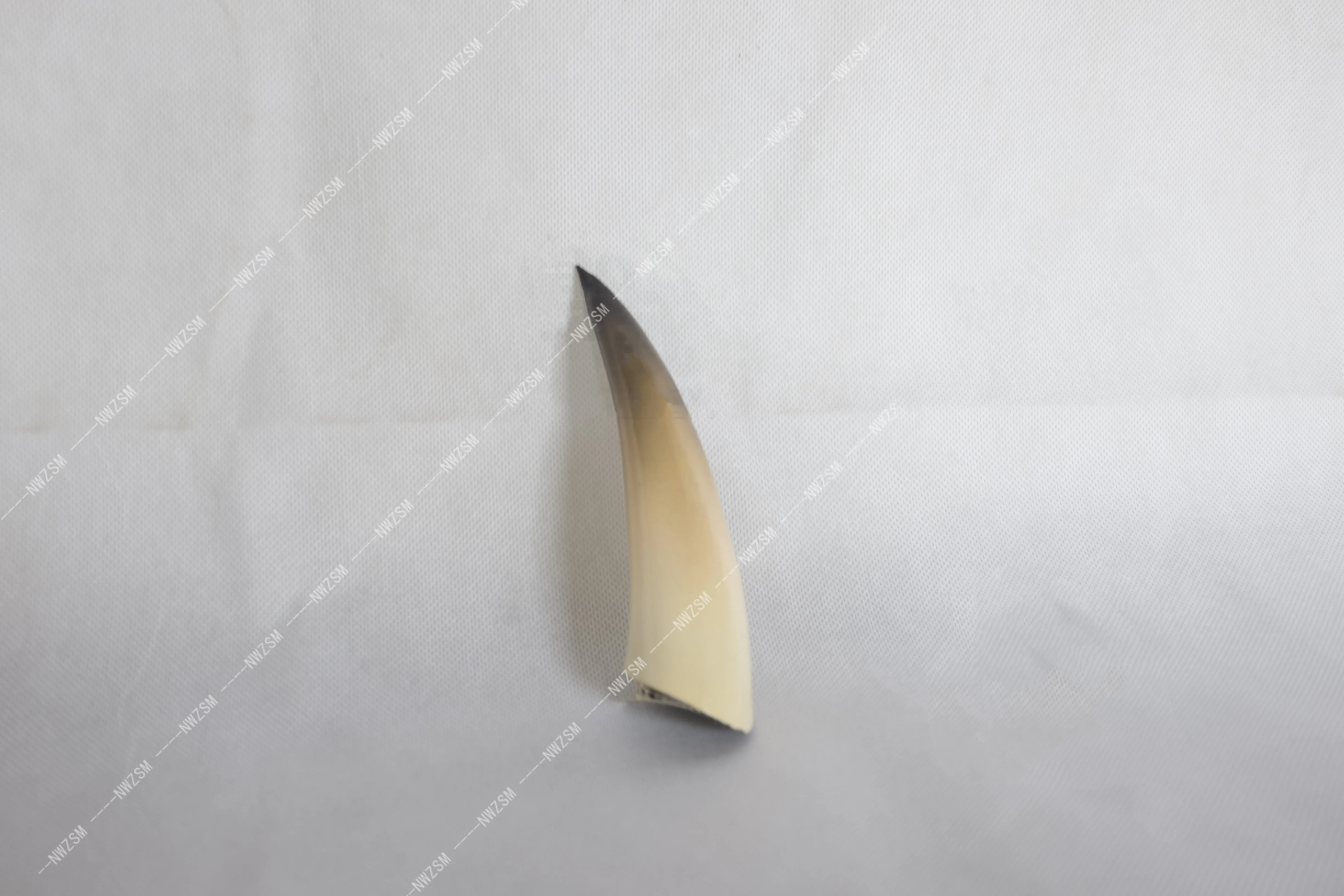 

Arknights Hoshiguma COSplay prop shield Angle breastplate to map customization