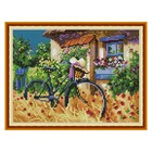 Набор для вышивки крестиком с пейзажем Joy Sunday, 11CT14CT, украшение для дома, подарки ручной работы, картины для вышивки крестиком