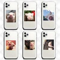 cute little pink pet pig phone case clear for iphone 13 12 11 pro max mini xs 8 7 plus x se 2020 xr cover