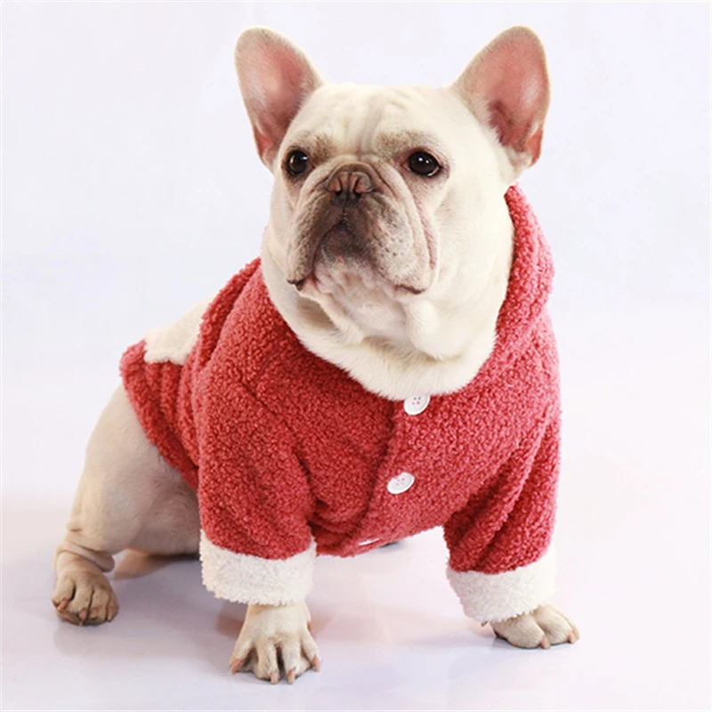 Зимняя куртка для мопса во французском стиле утепленная теплая одежда собак