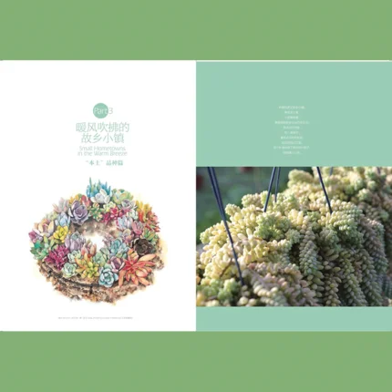 

Watercolor Painting Succulents Series Learn watercolor painting Introduction self study course book