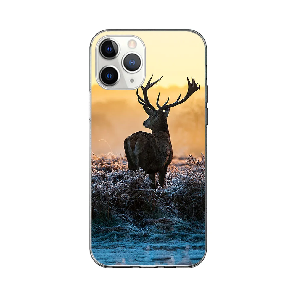 

Whale Cat Case For iPhone 12 11 Pro Max Cover for iPhone 12 Pro X XR XS MAX 7 8 6 S Plus 5S SE 2020 Soft Silicon TPU Phone Funda