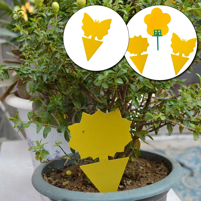 10 шт. двусторонняя клейкая приманка для насекомых москитная ловушка мух прочная