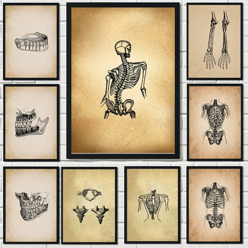 

Human Anatomy Science Vintage Poster Art Print Medical Anatomy Canvas Painting Wall Art Picture Medical Doctor Clinic Decoration
