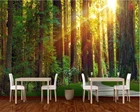 Настенные 3D Обои на заказ, шелковые Обои с изображением первоклассного леса, солнечного света, для гостиной, спальни, ресторана