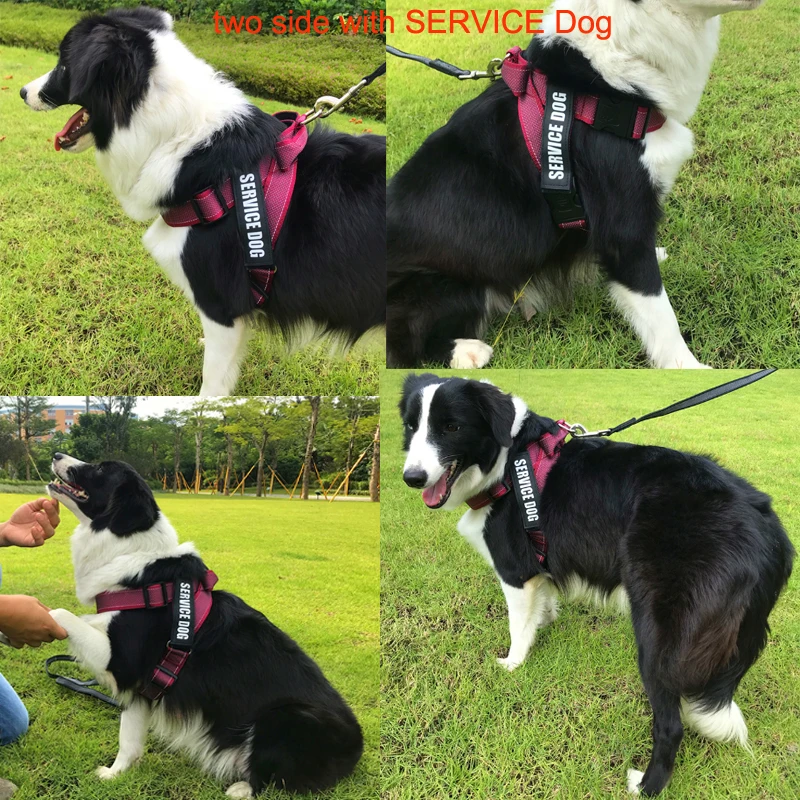 Жилет-портупея для собак светоотражающая шлейка с ручкой и управлением К9