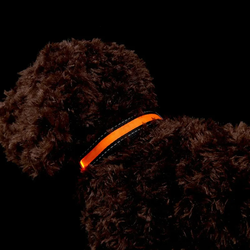 

Dog Collar Reflective Night Safety Pet Leash Luminous Collar Flashing Glow In The Dark Dog Leash