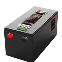 cheap rechargeable lifepo4 battery portable lifepo4 battery 48v 100ah and software bms